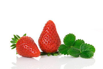 two ripe strawberries with big leaves on white background