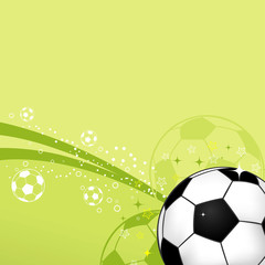 Fototapeta premium Soccer Ball