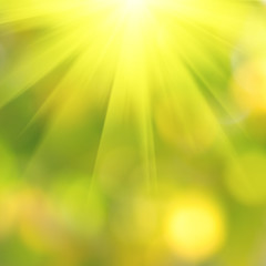 Bokeh background in spring