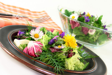 Wildkräutersalat