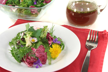 Wildkräutersalat