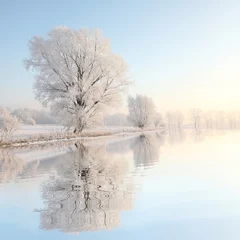 Poster Ijzige winterboom tegen een blauwe lucht met weerspiegeling in het water © Aniszewski