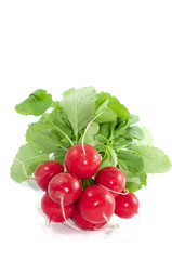 Radish