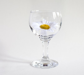 verre a vin margeritte