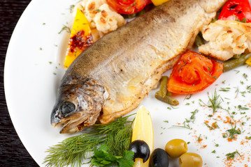 trout fish
