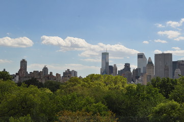 Fototapeta na wymiar Central park - New york city