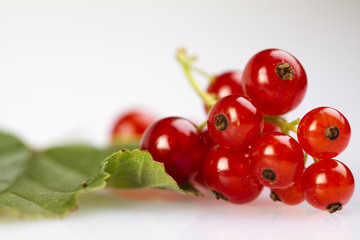 redcurrant