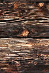verbranntes holz