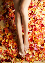 Sexy feet of a young woman covered with bright fallen petals