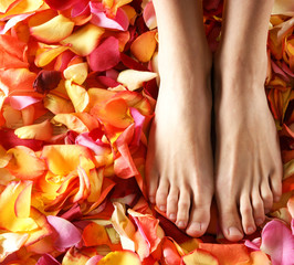 Sexy legs of a young woman covered with bright fallen petals