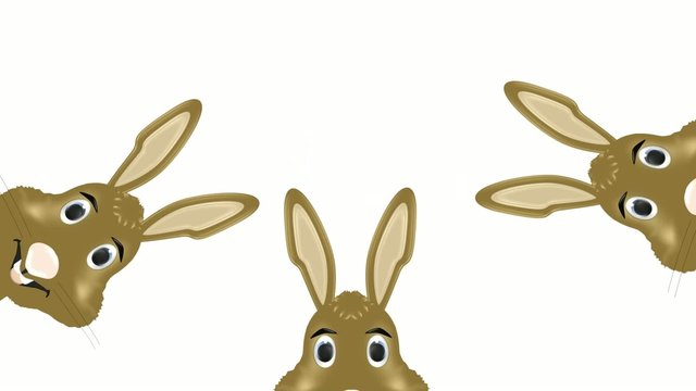 Hasen