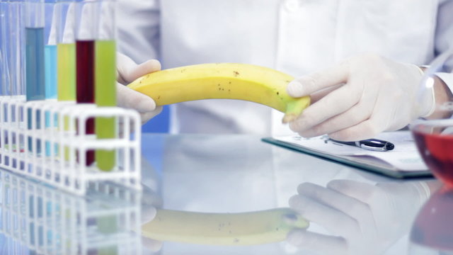 Scientist hands examining banana and writing results in notepad