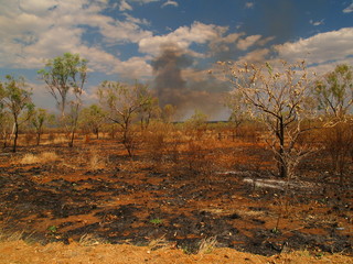 Bushfire in Australian outback