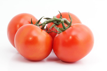 Tomatos