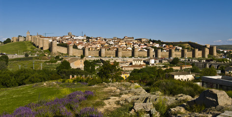 Naklejka premium Avila