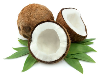 Coconut with leaves