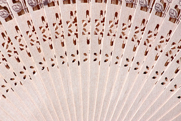 Macro shot of a fan with floral pattern