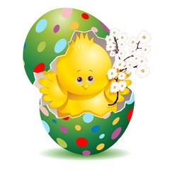 Pasqua Pulcino e Uova Decorate-Cute Easter Chick in Egg-3