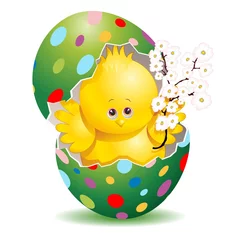 Aluminium Prints Draw Pasqua Pulcino e Uova Decorate-Cute Easter Chick in Egg-3