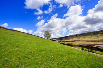 Mountain spring landscape, Yorkshire