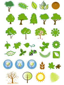 Natural Icons And Design Elements