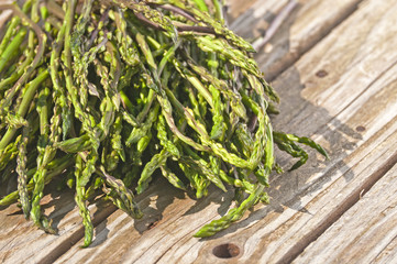asparagi selvatici