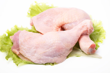 Leg of a chicken - of a broiler