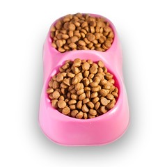 animal food in the plate