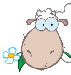 Sheep Head Carrying A Flower In Its Mouth