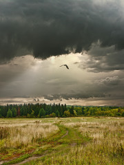 Rural landscape. Cloudy day in Siberia.