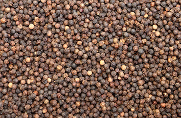 black pepper wall