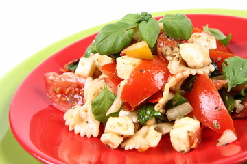 Salad - made of farfalle pasta, tomato, salami and mozzarella