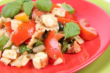 Salad - made of farfalle pasta, tomato, salami and mozzarella