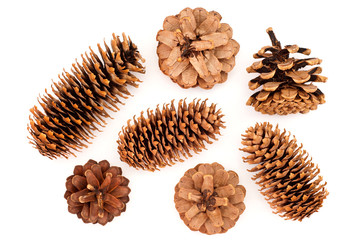 cones