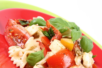 Salad - made of farfalle pasta, tomato, salami and mozzarella