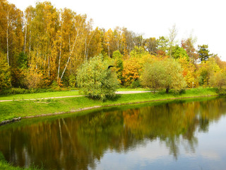 Autumn, forest and lake