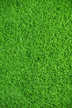 Green Artificial Grass on a Football Field Background
