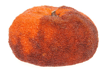 Rotten orange