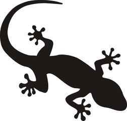 gecko tattoo - obrazy, fototapety, plakaty