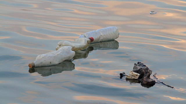 Plastic bottles floating and polluting at river