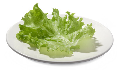 Lettuce's leaf
