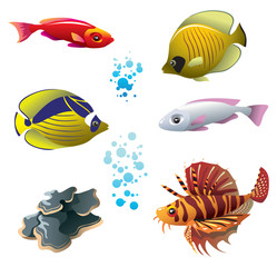 Fototapeta premium Set of tropical bright fishes and polyp, vector illustration