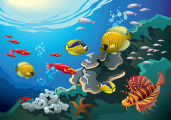 Fototapeta na wymiar Podwodny świat raf koralowych, wiele ryb, wektor