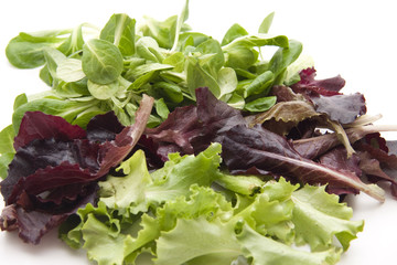 Salatblätter gemischt