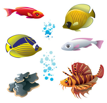 Set of tropical bright fishes and polyp, vector illustration