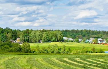 Haymaking
