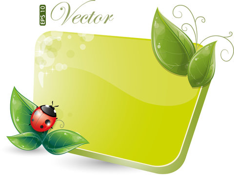 Green form with leaves and ladybug, eps-10
