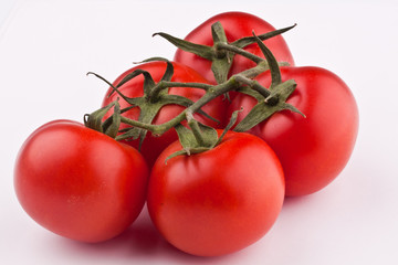 tomatoes