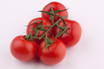 tomatoes