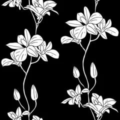 Voilages Fleurs noir et blanc Arrière-plan transparent de vecteur avec des orchidées